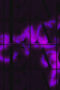 ArJxxbZ0hIp8Z6SiGrqL6CPpIWJ